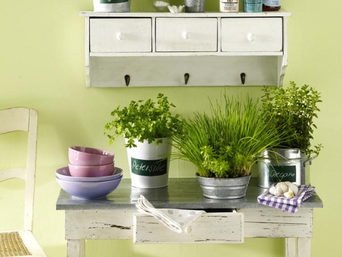 Цветы для кухни: комнатные растения в интерьере