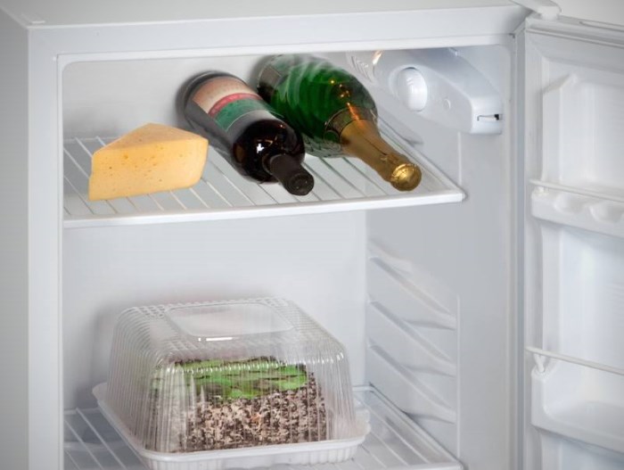 Холодильник без морозильного отсека