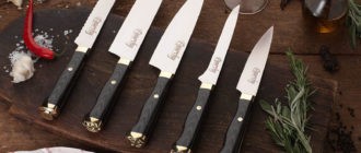 Как выбрать нож для кухни